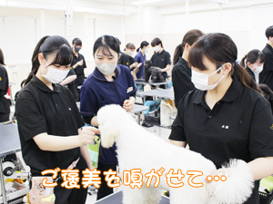 1年生が継続してステイの練習！